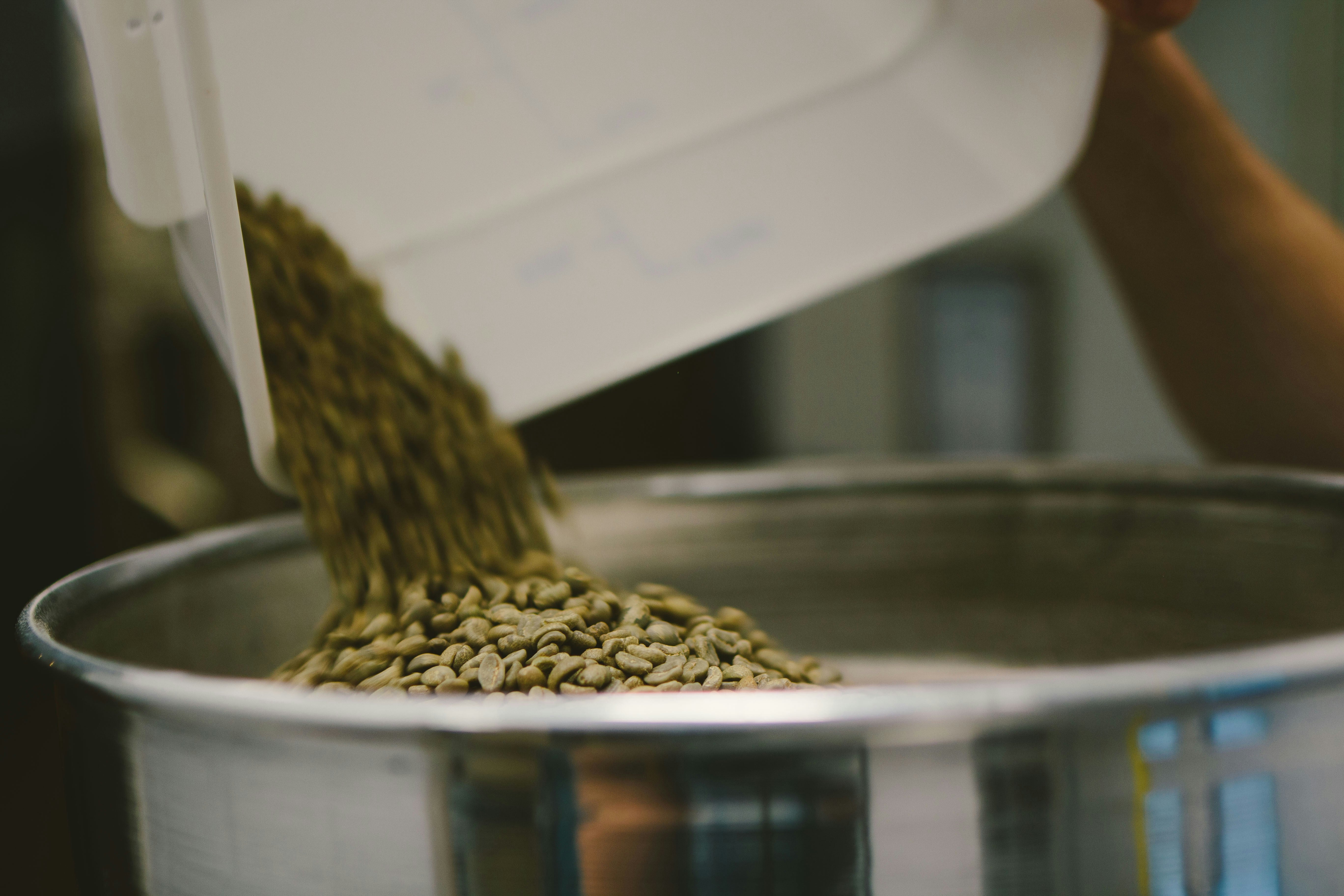 Green coffee beans ready for export